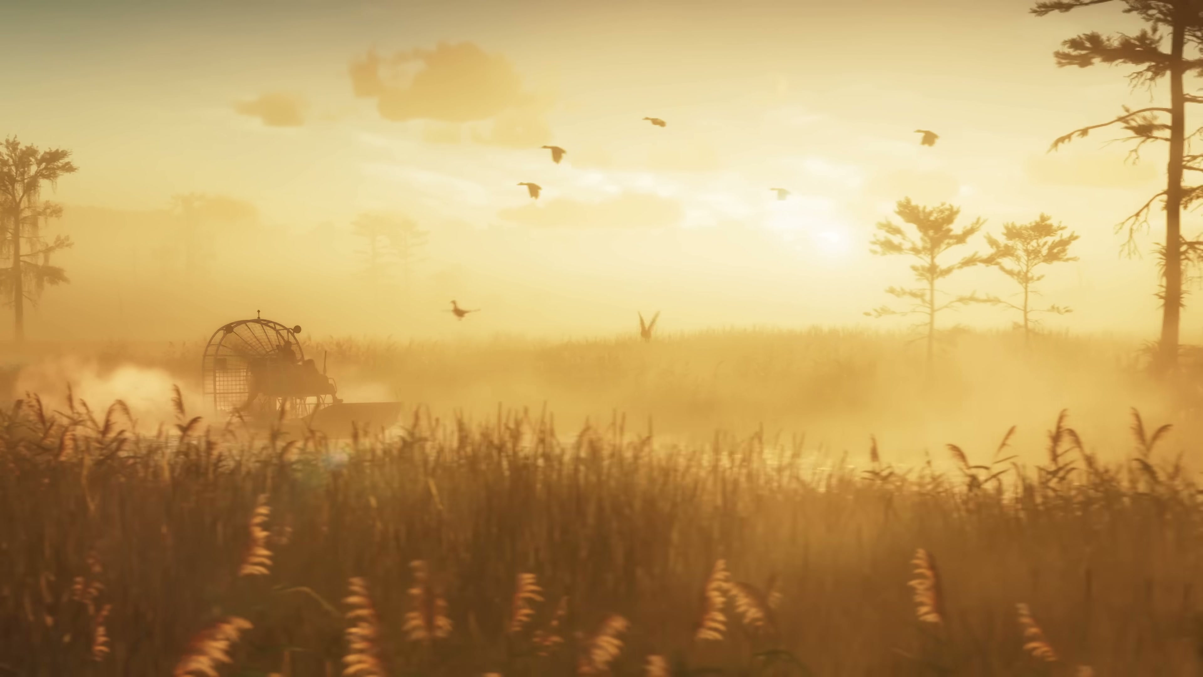 An airboat passing through misty swamp reeds at golden hour with silhouetted birds and pine trees on the horizon.