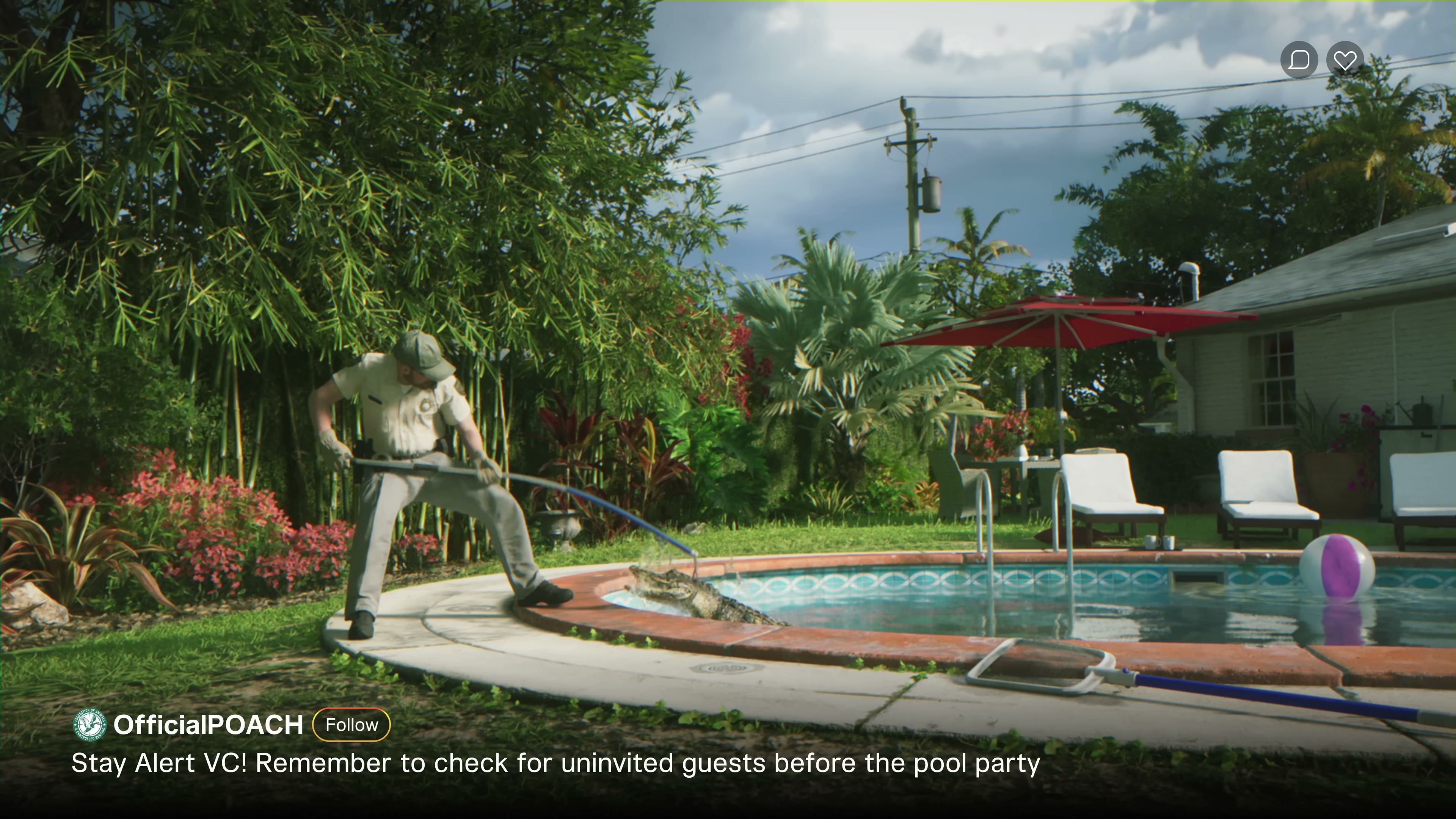 Animal control officer wrangling an alligator beside a backyard pool
